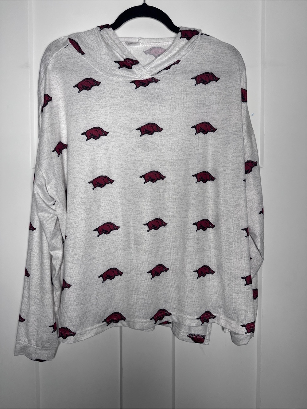 Arkansas Razorbacks Cozy Soft Hooded Pullover Long Sleeve in Heather Gray